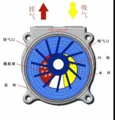 看圖秒懂 36種泵原理 展會(huì)新聞 第23張