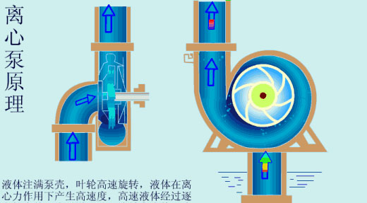 給（gei）水泵、給（ji）水泵別再傻傻分不清楚（內(nèi)含動(dòng)畫）