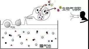 污水廠內(nèi)的生物氣溶膠怎么產(chǎn)生，污水從業(yè)人員如何做好防護(hù)？ 行業(yè)熱點(diǎn) 第3張