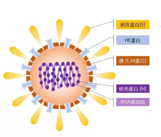 疫情來勢洶洶，如何做好個人防護？這些問題要明白！ 行業(yè)熱點 第2張