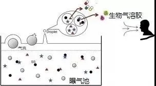 住建部：如何應(yīng)對新冠病毒從馬桶到水環(huán)境的潛在傳輸途徑？ 行業(yè)熱點 第3張