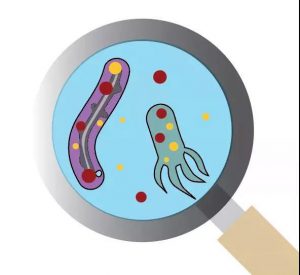 污水廠內(nèi)的生物氣溶膠，污水從業(yè)人員必讀 新聞資訊 第3張