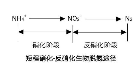 生化法除氨氮的技術(shù)匯總！ 新聞資訊 第3張