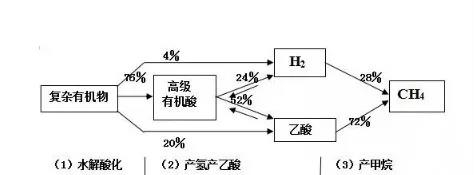 為什么你的厭氧反應(yīng)器會出現(xiàn)泡沫、化學沉淀等不良現(xiàn)象？ 新聞資訊 第1張