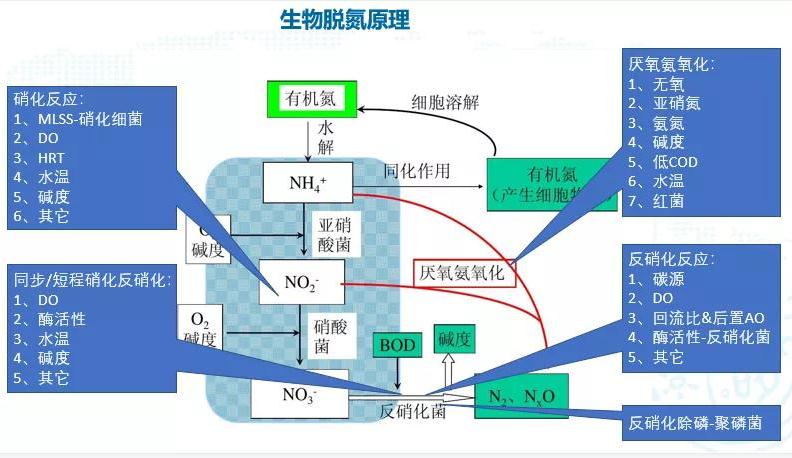 碳中和趨勢(shì)下污水處理節(jié)能降耗技術(shù)需求解讀 新聞資訊 第2張