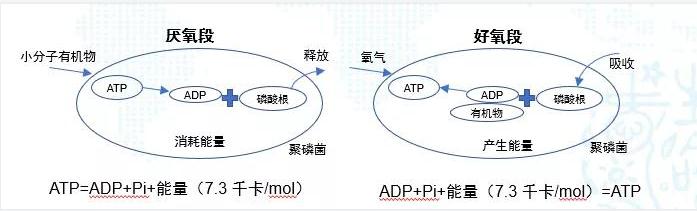 碳中和趨勢(shì)下污水處理節(jié)能降耗技術(shù)需求解讀 新聞資訊 第3張