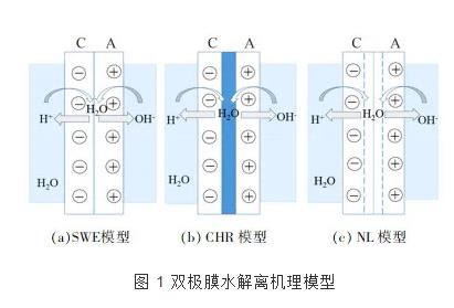 雙極膜電滲析技術(shù)的研究進(jìn)展 新聞資訊 第1張