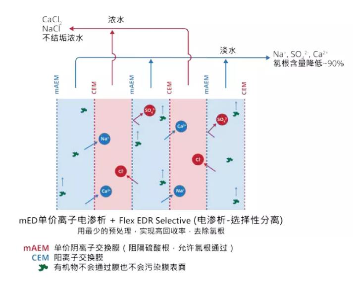 電滲析技術(shù)還能這么用！ 新聞資訊 第2張