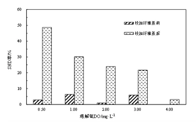 纖維素對(duì)污水生物處理系統(tǒng)性能的影響及機(jī)理分析 新聞資訊 第6張