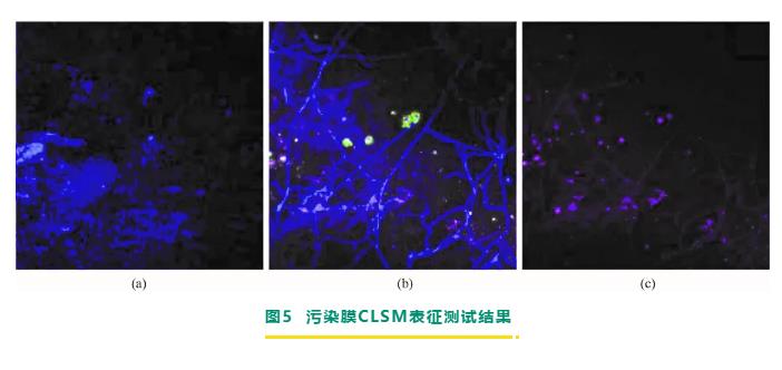 反滲透/納濾膜剖檢分析與膜污染診斷研究進(jìn)展 新聞資訊 第8張