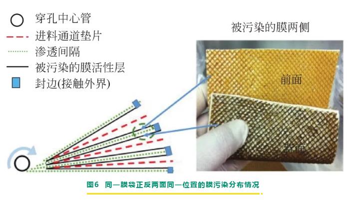 反滲透/納濾膜剖檢分析與膜污染診斷研究進(jìn)展 新聞資訊 第9張