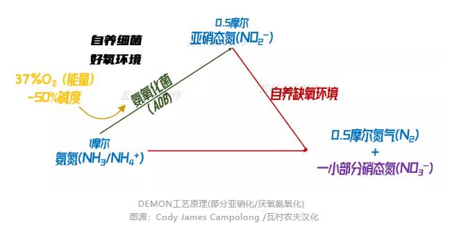 彎路變捷徑！美國首個(gè)主流anammox污水廠2023年面世？ 新聞資訊 第1張