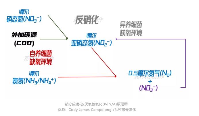 彎路變捷徑！美國首個(gè)主流anammox污水廠2023年面世？ 新聞資訊 第2張