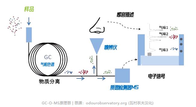 會飛的電子鼻——污水處理4.0時代的無人機應(yīng)用 新聞資訊 第5張