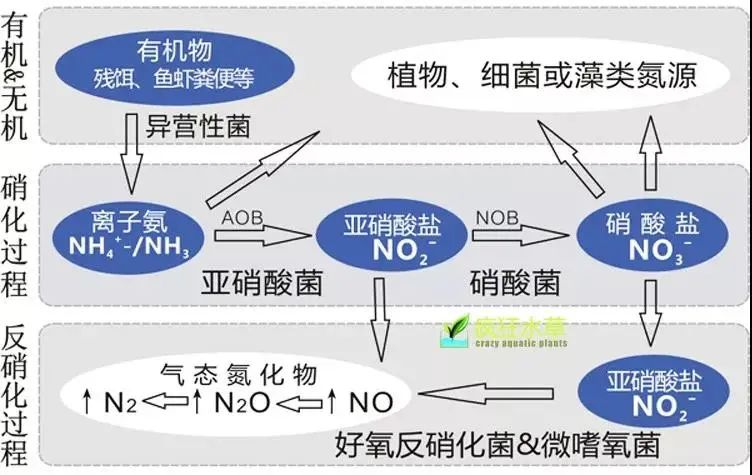 流體展|面對(duì)低濃度氨氮工業(yè)廢水束手無策？這幾種方法可以解決 行業(yè)熱點(diǎn) 第3張