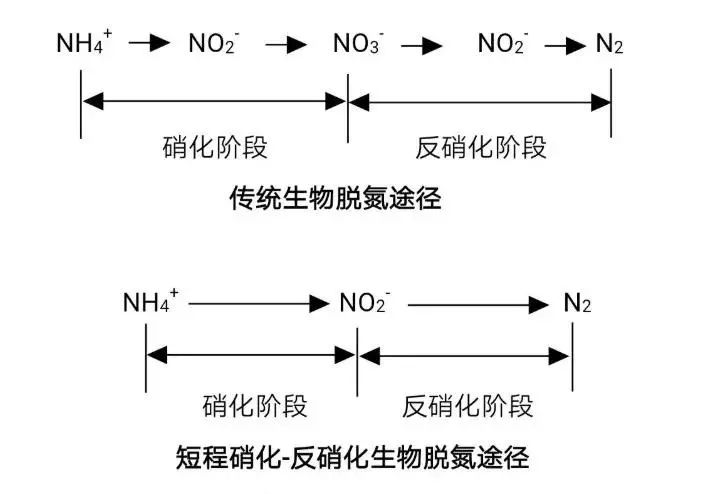 流體展|面對(duì)低濃度氨氮工業(yè)廢水束手無策？這幾種方法可以解決 行業(yè)熱點(diǎn) 第4張