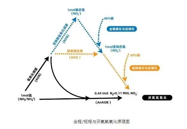 流體展|面對(duì)低濃度氨氮工業(yè)廢水束手無策？這幾種方法可以解決 行業(yè)熱點(diǎn) 第5張