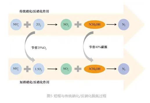 流體展|城鎮(zhèn)污水處理廠節(jié)能減碳實現(xiàn)路徑與技術(shù)探討 行業(yè)熱點(diǎn) 第7張